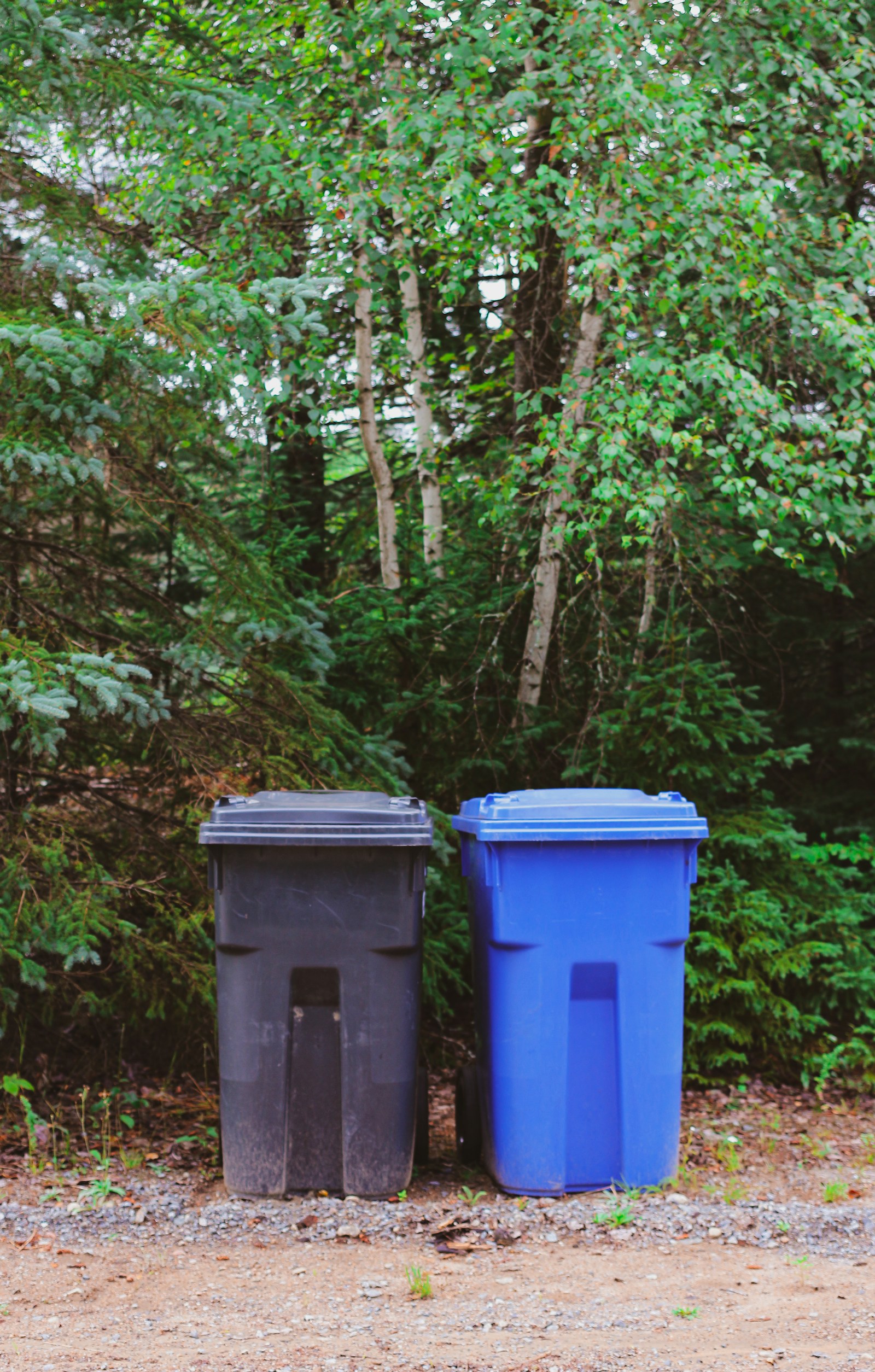 Garbage and recycling bins ready for cleaning service